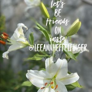 Hey let’s be friends on Insta!🌸